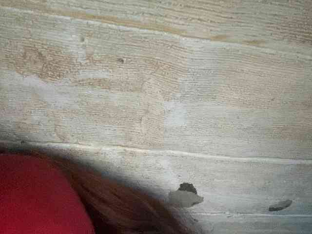 Rainie webcam