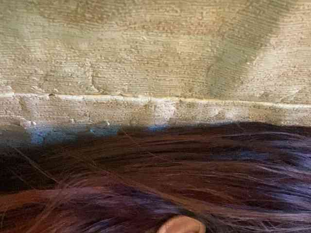 Rainie webcam
