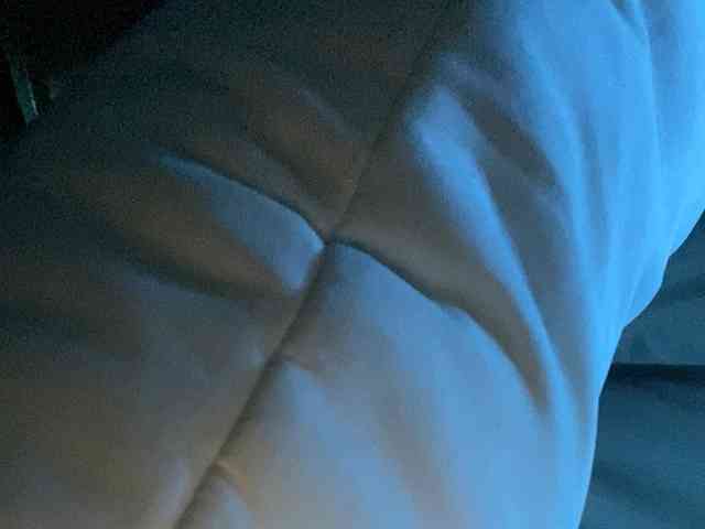Rainie webcam