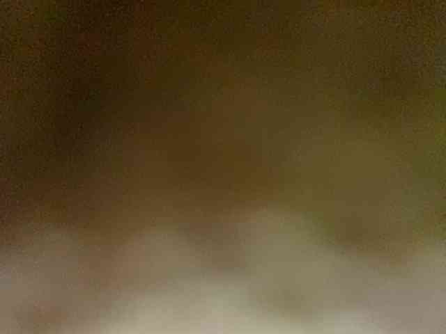 Rainie webcam