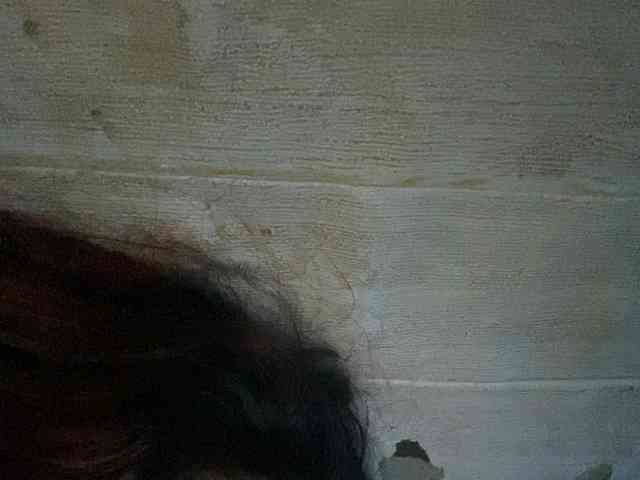 Rainie webcam