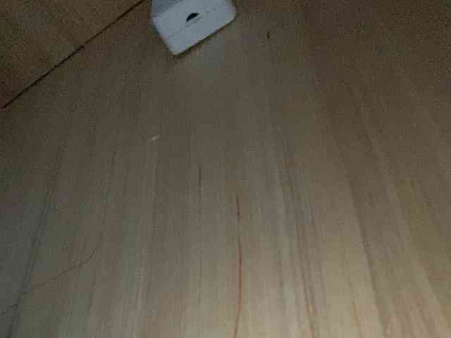 Rainie webcam
