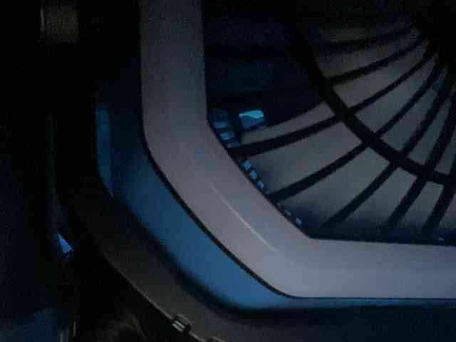 Rainie webcam