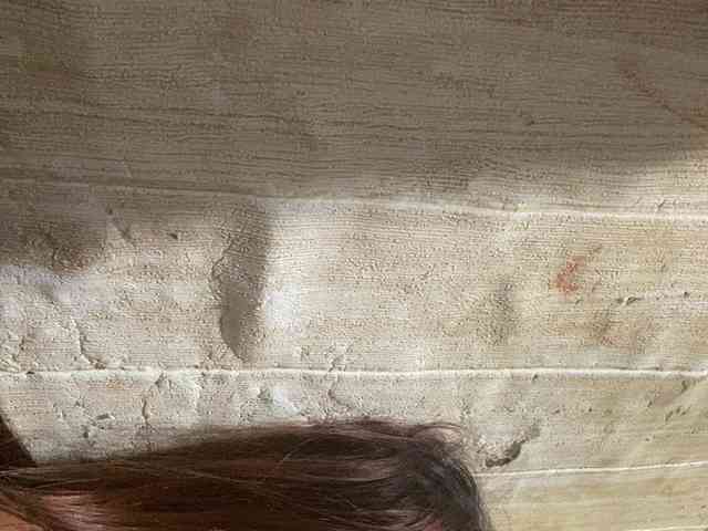 Rainie webcam
