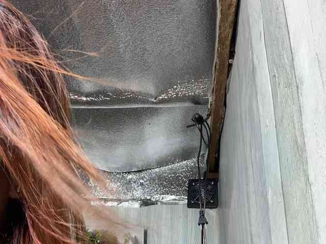 Rainie webcam