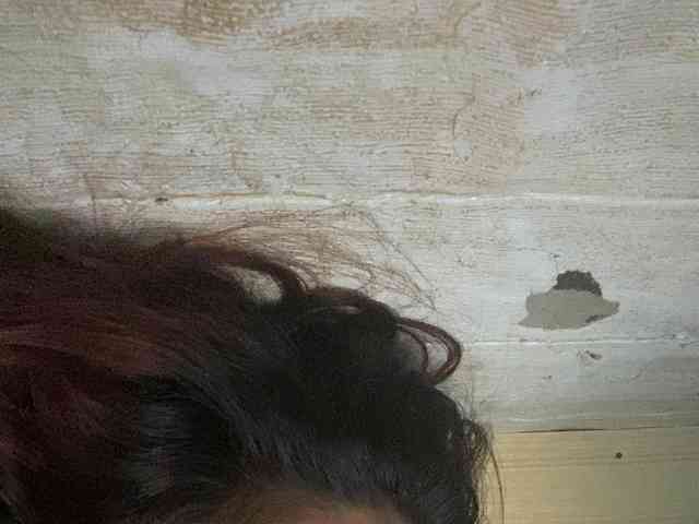 Rainie webcam