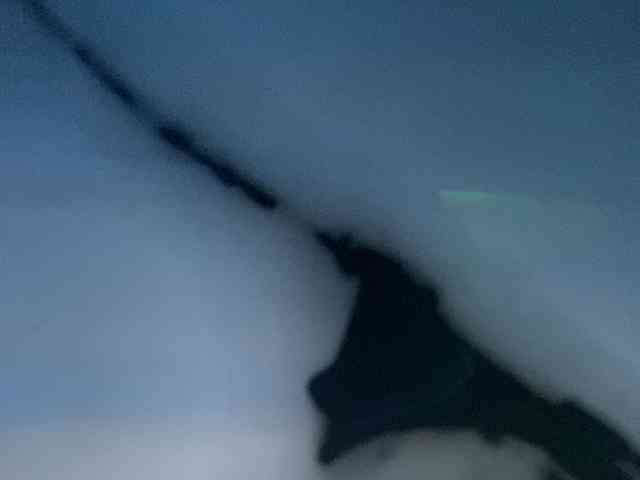 Rainie webcam