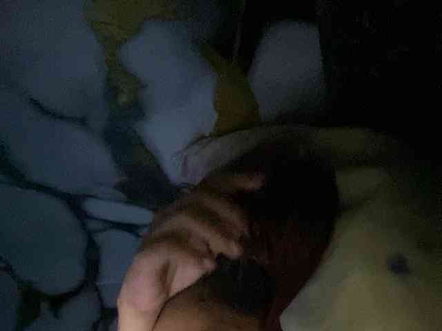 Rainie