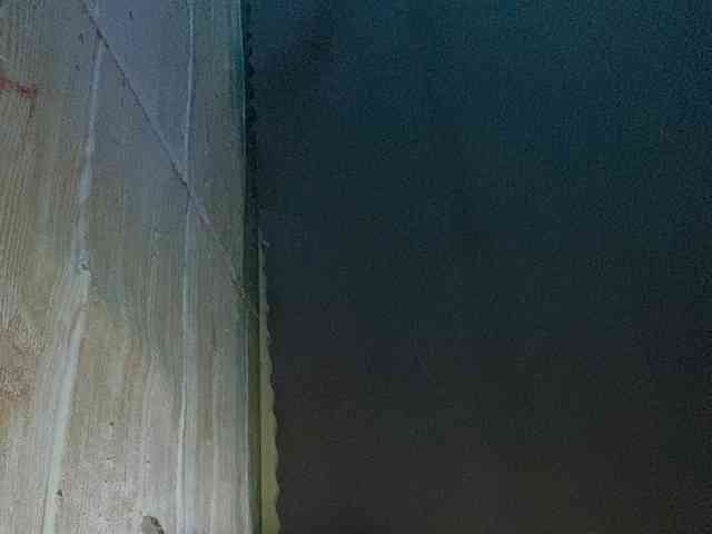 Rainie webcam