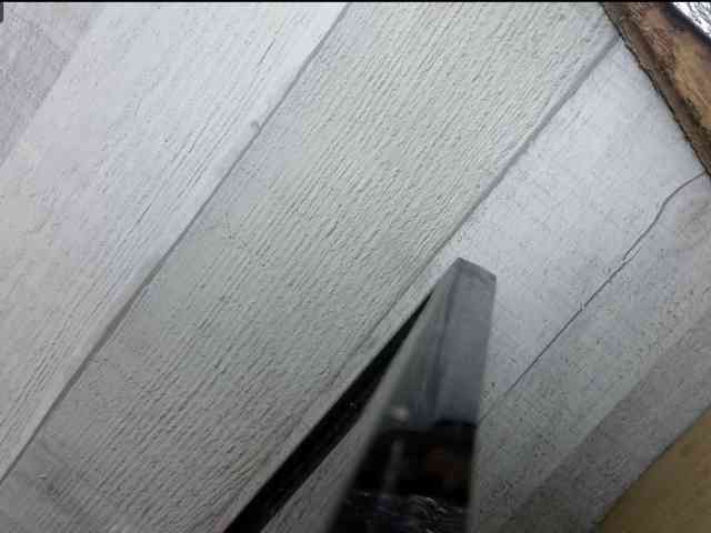 Rainie webcam