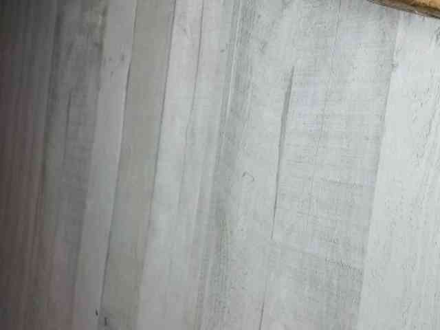 Rainie webcam