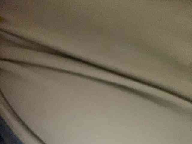 Rainie webcam