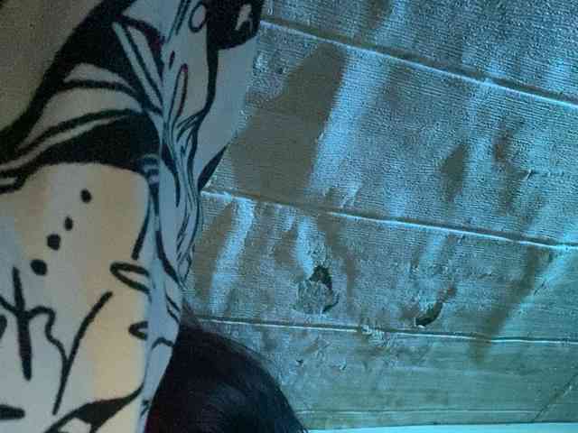 Rainie webcam