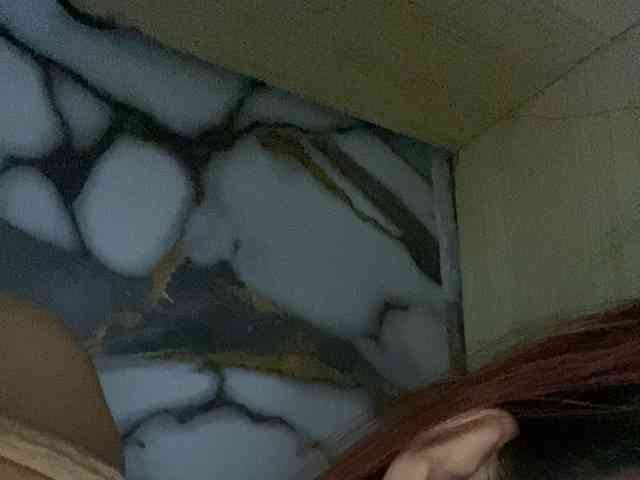 Rainie webcam