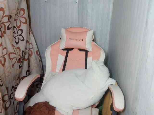 Rainie webcam