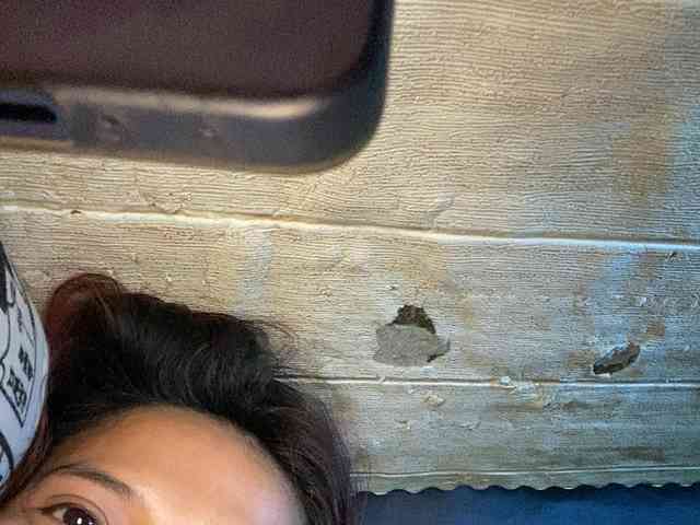 Rainie webcam
