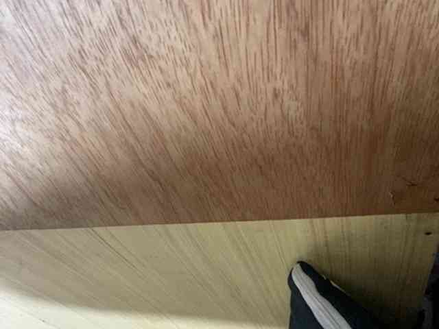 Rainie webcam