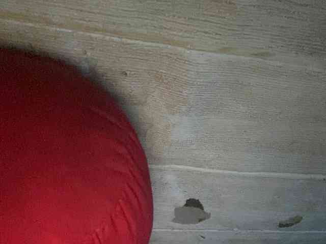 Rainie webcam