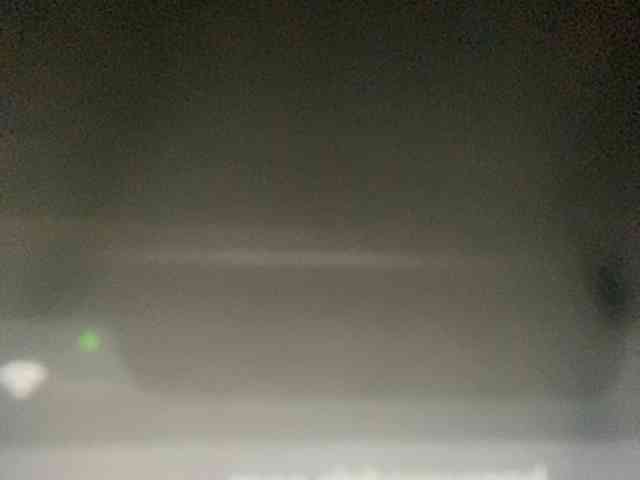 Rainie webcam