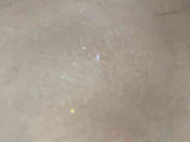 Rainie webcam