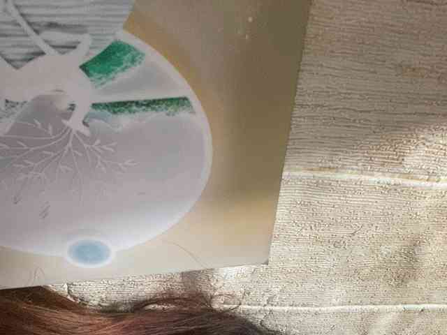 Rainie webcam