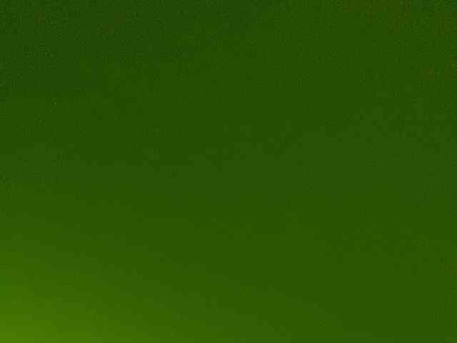 Rainie webcam