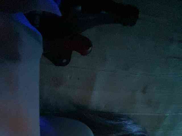 Rainie webcam