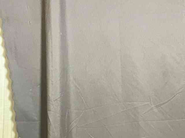 Rainie webcam