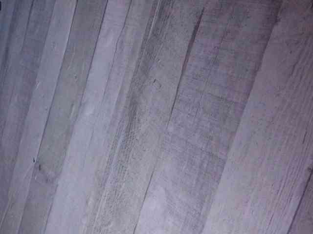 Rainie webcam
