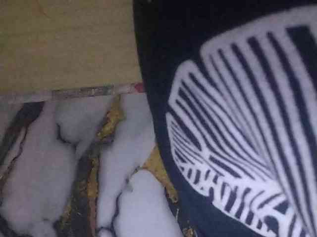 Rainie webcam