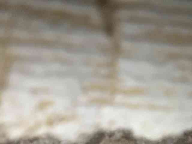 Rainie webcam