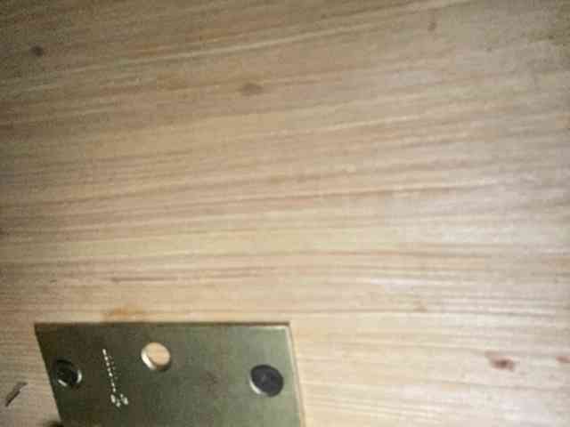 Rainie webcam