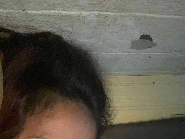 Rainie webcam