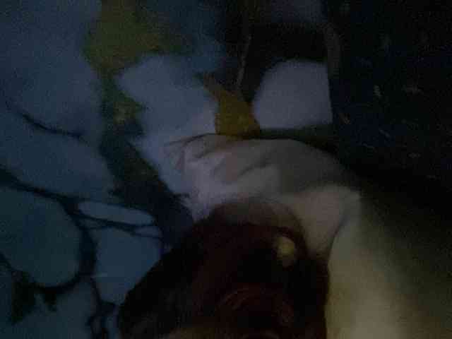 Rainie webcam