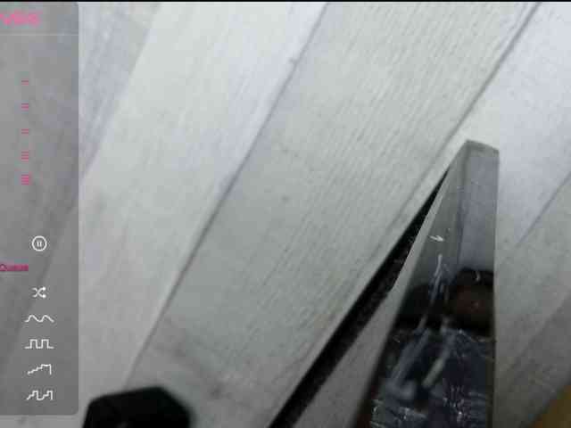 Rainie webcam