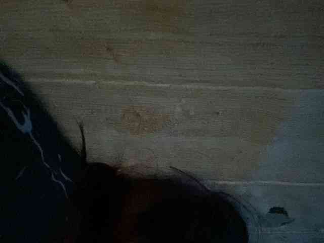 Rainie webcam