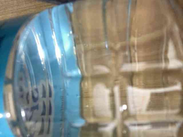 Rainie webcam