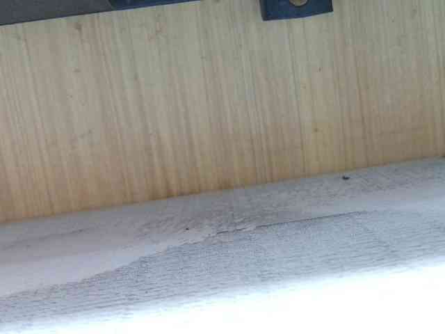 Rainie webcam