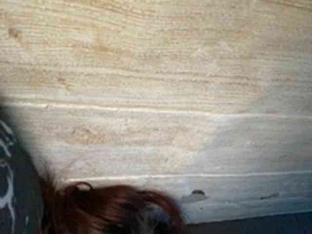 Rainie webcam