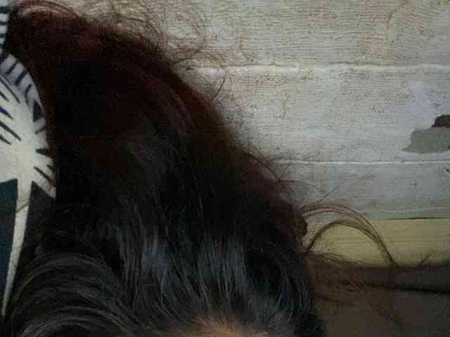 Rainie webcam