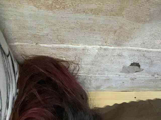 Rainie webcam