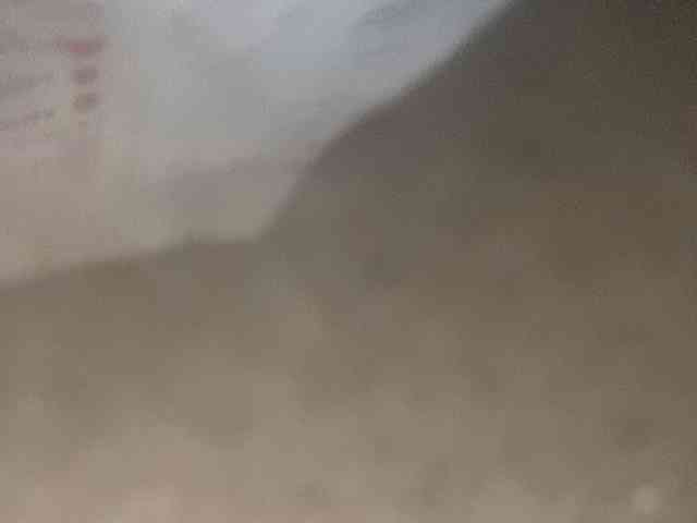 Rainie webcam
