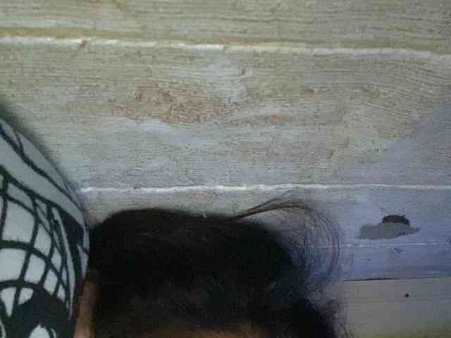 Rainie webcam