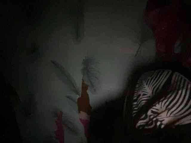 Rainie webcam