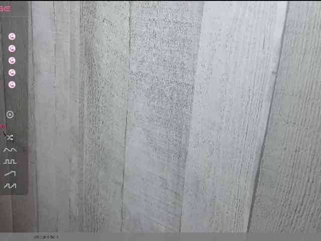 Rainie webcam