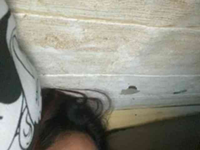 Rainie webcam