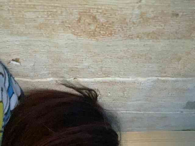Rainie webcam