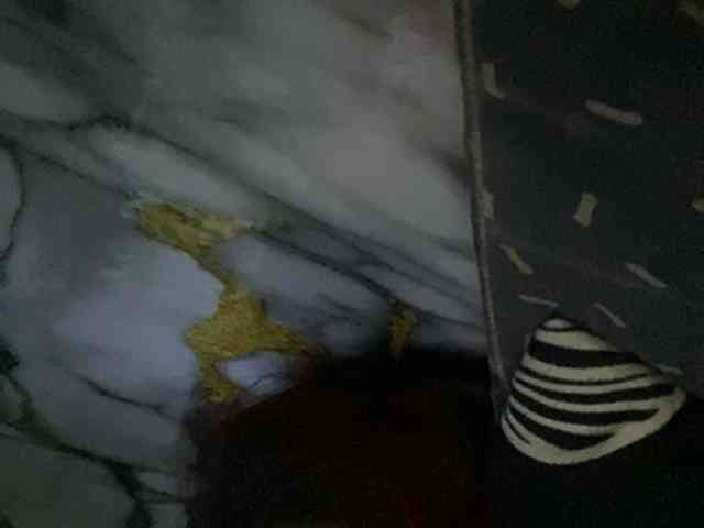 Rainie webcam