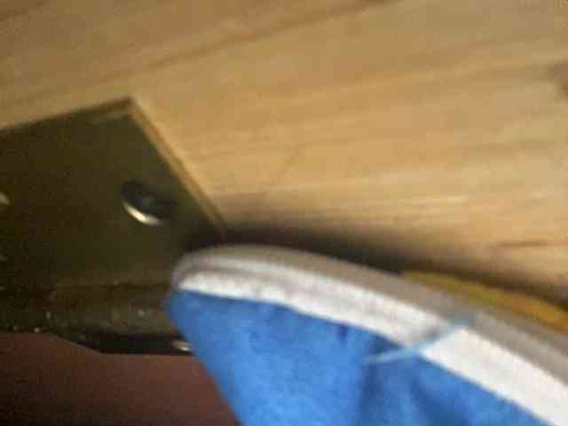 Rainie webcam