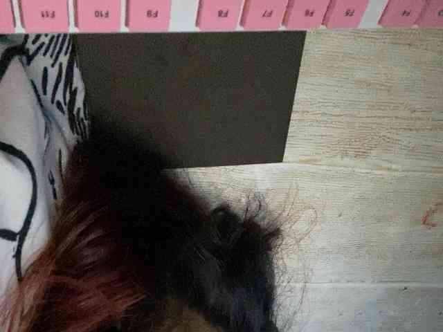 Rainie webcam
